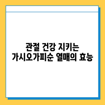 가시오가피순 열매| 연골 건강을 위한 복합 관리의 핵심 | 연골 건강, 관절 건강, 가시오가피, 건강 관리, 천연 성분