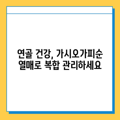 가시오가피순 열매| 연골 건강을 위한 복합 관리의 핵심 | 연골 건강, 관절 건강, 가시오가피, 건강 관리, 천연 성분