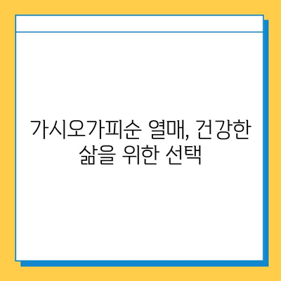 가시오가피순 열매| 연골 건강을 위한 복합 관리의 핵심 | 연골 건강, 관절 건강, 가시오가피, 건강 관리, 천연 성분