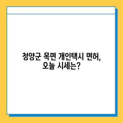 충청남도 청양군 목면 개인택시 면허 매매 가격| 오늘 시세 확인 | 번호판, 넘버값, 자격조건, 월수입, 양수교육