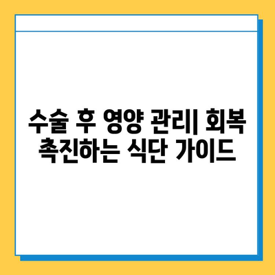 무릎 연골 수술 후 빠른 회복을 위한 맞춤형 재활 가이드 | 운동, 식단, 주의사항, 전문가 조언