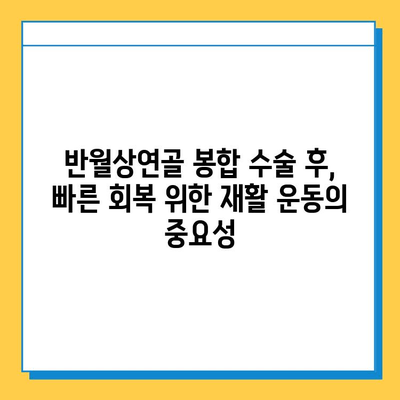 반월상연골파열 봉합 수술 후, 성공적인 회복을 위한 필수 재활 가이드 | 재활 운동, 재활 치료, 회복 기간, 주의 사항