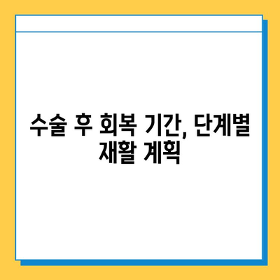 반월상연골파열 봉합 수술 후, 성공적인 회복을 위한 필수 재활 가이드 | 재활 운동, 재활 치료, 회복 기간, 주의 사항