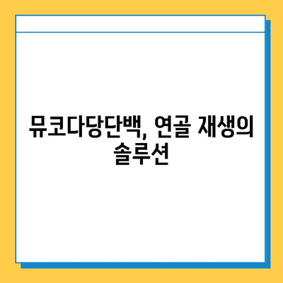 연골 재생을 위한 선택! 뮤코다당단백 영양제의 3가지 장점 | 관절 건강, 연골 재생, 영양제