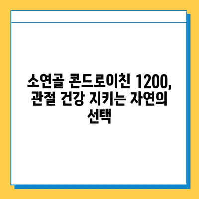 소연골 콘드로이친 1200| 관절 건강을 위한 자연적인 선택 | 관절연골 보호, 건강기능식품, 콘드로이친 효능