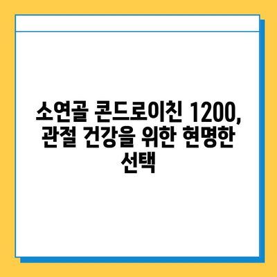 소연골 콘드로이친 1200| 관절 건강을 위한 자연적인 선택 | 관절연골 보호, 건강기능식품, 콘드로이친 효능