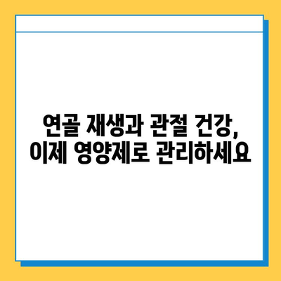 무릎 연골 건강 지키는 효과 입증된 영양제 추천 | 연골 재생, 관절 건강, 무릎 통증 완화