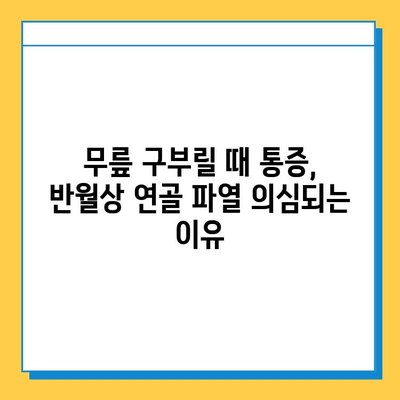 무릎 구부릴 때 통증? 반월상연골 파열 의심해보세요! | 원인, 증상, 치료, 재활