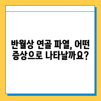 무릎 구부릴 때 통증? 반월상연골 파열 의심해보세요! | 원인, 증상, 치료, 재활