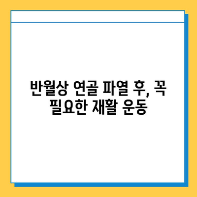 무릎 구부릴 때 통증? 반월상연골 파열 의심해보세요! | 원인, 증상, 치료, 재활