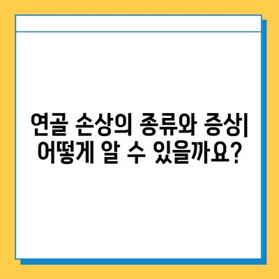 연골 골화 및 파열 치료| 명확한 설명 |  증상, 원인, 치료법, 재활