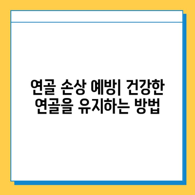 연골 골화 및 파열 치료| 명확한 설명 |  증상, 원인, 치료법, 재활