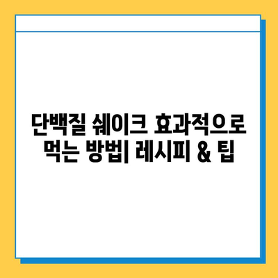 2024년 최고의 단백질 쉐이크 선택 가이드| 나에게 딱 맞는 단백질 보충제 찾기 | 단백질 쉐이크 추천, 단백질 보충제 비교, 건강 식품