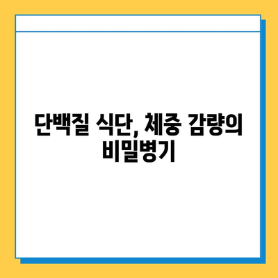 다이어트 코치와 단백질 식단으로 체중 조절하기| 성공적인 체중 감량을 위한 완벽 가이드 | 다이어트, 단백질, 체중 감량, 코칭, 식단