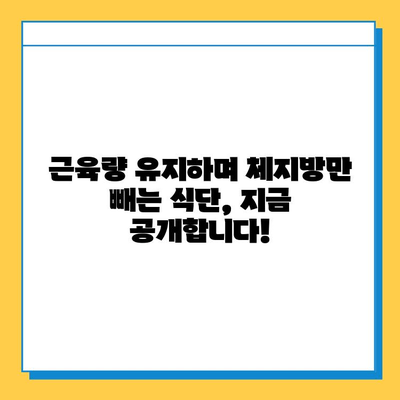 남성 체지방 감량을 위한 최적의 다이어트 식품 가이드 | 체중 감량, 건강 식단, 남성 건강