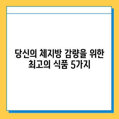 남성 체지방 감량을 위한 최적의 다이어트 식품 가이드 | 체중 감량, 건강 식단, 남성 건강