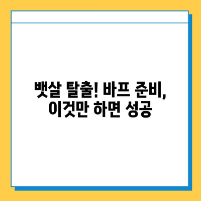 뱃살 빼고 바프 완벽하게 준비하는 꿀팁 | 뱃살, 바디프로필, 운동, 식단, 촬영