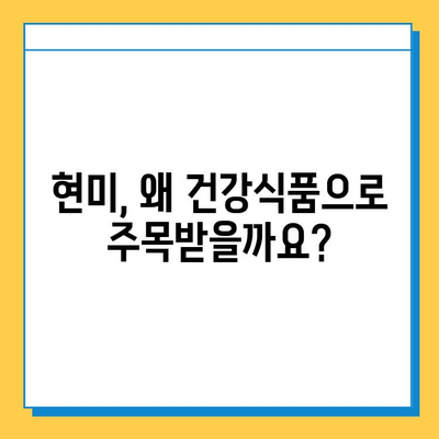 현미의 효능과 부작용| 건강한 식단을 위한 완벽 가이드 | 현미, 건강, 영양, 부작용, 효능