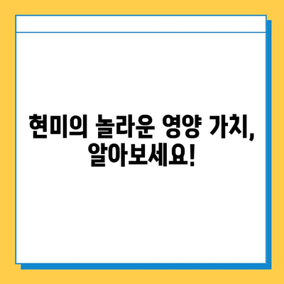 현미의 효능과 부작용| 건강한 식단을 위한 완벽 가이드 | 현미, 건강, 영양, 부작용, 효능