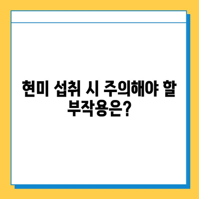 현미의 효능과 부작용| 건강한 식단을 위한 완벽 가이드 | 현미, 건강, 영양, 부작용, 효능