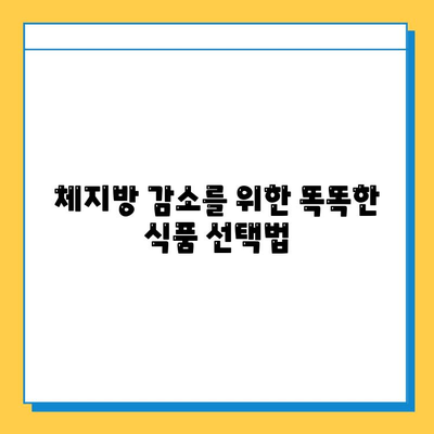 건강하게 살 빼는 효과적인 다이어트 식품| 7가지 추천 & 섭취 가이드 | 다이어트, 식단, 건강, 체중 감량