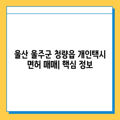 울산 울주군 청량읍 개인택시 면허 매매 가격| 오늘 시세 & 자격조건 & 월수입 & 양수교육 | 번호판, 넘버값