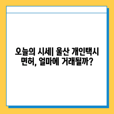 울산 울주군 청량읍 개인택시 면허 매매 가격| 오늘 시세 & 자격조건 & 월수입 & 양수교육 | 번호판, 넘버값