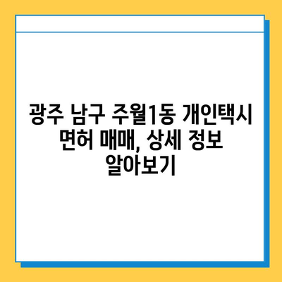 광주 남구 주월1동 개인택시 면허 매매 가격| 오늘 시세, 넘버값, 자격조건, 월수입, 양수교육 | 상세 정보