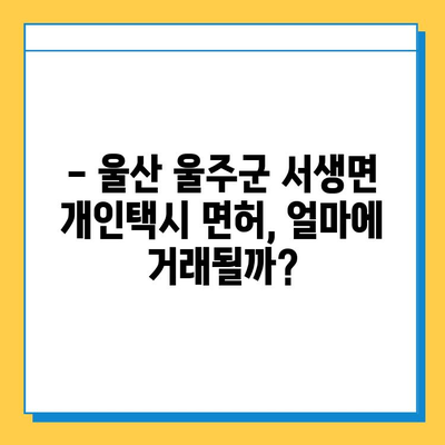 울산 울주군 서생면 개인택시 면허 매매 가격| 오늘 시세, 자격조건, 월수입, 양수교육 | 번호판, 넘버값