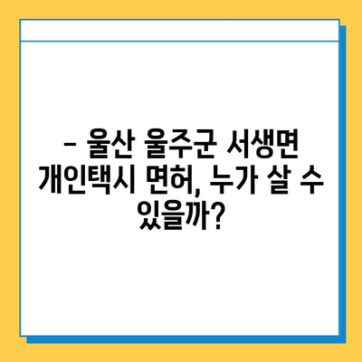 울산 울주군 서생면 개인택시 면허 매매 가격| 오늘 시세, 자격조건, 월수입, 양수교육 | 번호판, 넘버값