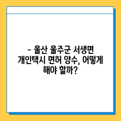 울산 울주군 서생면 개인택시 면허 매매 가격| 오늘 시세, 자격조건, 월수입, 양수교육 | 번호판, 넘버값