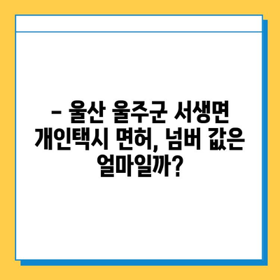 울산 울주군 서생면 개인택시 면허 매매 가격| 오늘 시세, 자격조건, 월수입, 양수교육 | 번호판, 넘버값