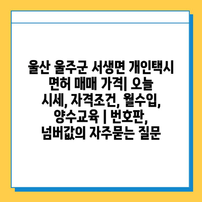 울산 울주군 서생면 개인택시 면허 매매 가격| 오늘 시세, 자격조건, 월수입, 양수교육 | 번호판, 넘버값