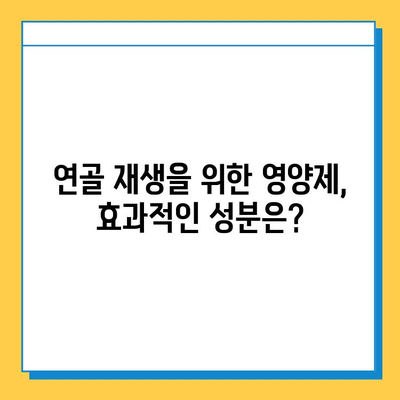 관절 통증과 무릎 연골 건강, 영양제로 지켜보세요| 효과적인 성분과 선택 가이드 | 관절 건강, 영양제, 무릎 통증, 연골 재생