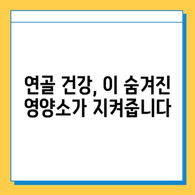 연골 건강 지키는 숨겨진 영양소| 연골 강화에 효과적인 식단 가이드 | 관절 건강, 영양, 식단, 건강 정보