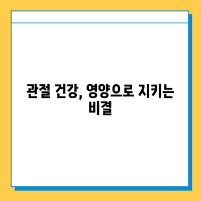 연골 건강 지키는 숨겨진 영양소| 연골 강화에 효과적인 식단 가이드 | 관절 건강, 영양, 식단, 건강 정보