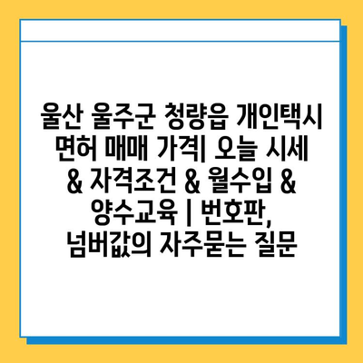 울산 울주군 청량읍 개인택시 면허 매매 가격| 오늘 시세 & 자격조건 & 월수입 & 양수교육 | 번호판, 넘버값