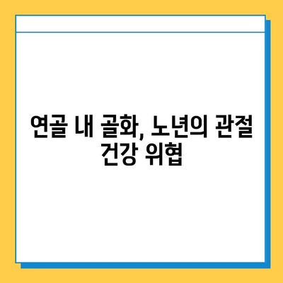 노인 연골 내 골화| 관리와 예방 위한 실질적인 팁 | 건강, 관절 건강, 노화, 뼈 건강