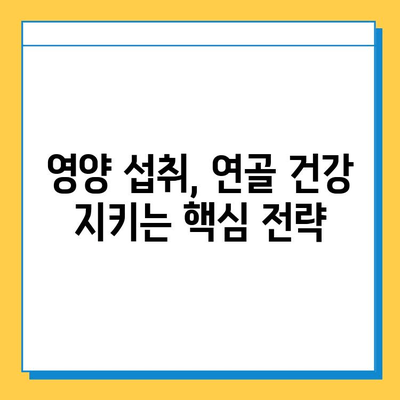 노인 연골 내 골화| 관리와 예방 위한 실질적인 팁 | 건강, 관절 건강, 노화, 뼈 건강