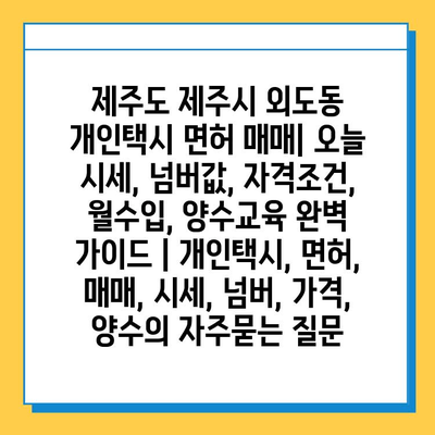 제주도 제주시 외도동 개인택시 면허 매매| 오늘 시세, 넘버값, 자격조건, 월수입, 양수교육 완벽 가이드 | 개인택시, 면허, 매매, 시세, 넘버, 가격, 양수