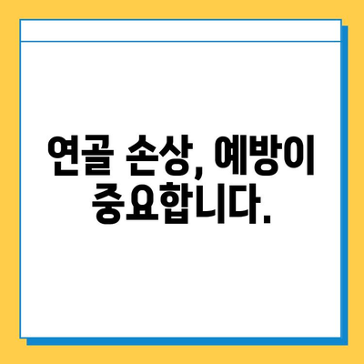 연골 손상, 무시하면 어떻게 될까요? | 부상, 통증, 치료, 예방