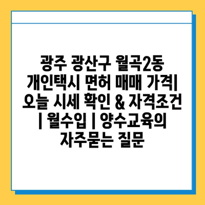 광주 광산구 월곡2동 개인택시 면허 매매 가격| 오늘 시세 확인 & 자격조건 | 월수입 | 양수교육