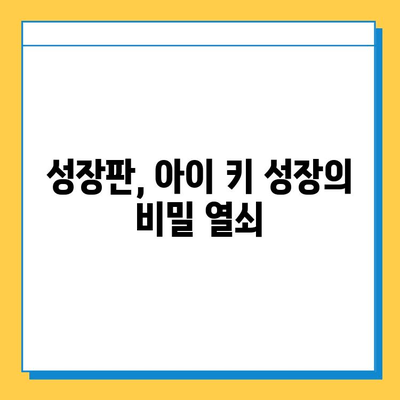 어린이 건강의 핵심, 연골 성장판의 모든 것 | 성장판, 어린이 건강, 성장 발달, 영양, 운동