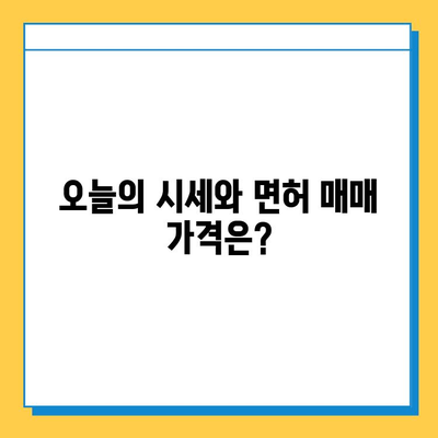 순천시 중앙동 개인택시 면허 매매 가격| 오늘 시세, 자격조건, 월수입, 양수교육 | 번호판, 넘버값