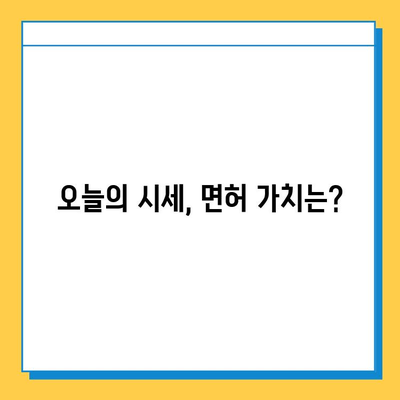 서울 구로구 고척제1동 개인택시 면허 매매 가격  | 오늘 시세, 번호판 가치, 자격 조건, 월수입, 양수 교육