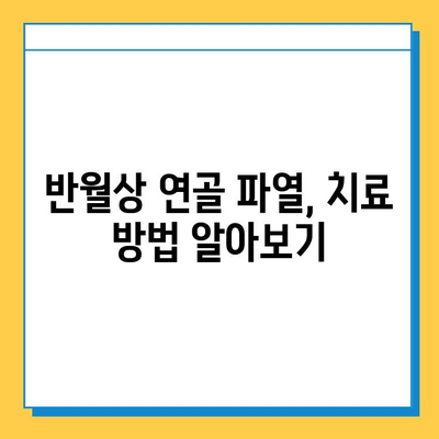 반월상 연골 파열, 수술 시기는 언제가 적절할까요? |  반월상 연골 파열 수술, 수술 시기 결정, 재활, 운동, 치료