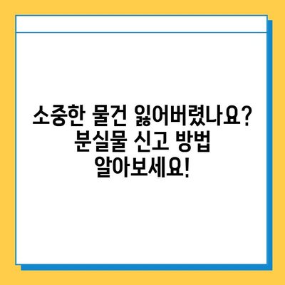 국립대학교 도서관 분실물 신고, 이렇게 하세요! | 분실물 신고 절차, 연락처, 주의 사항