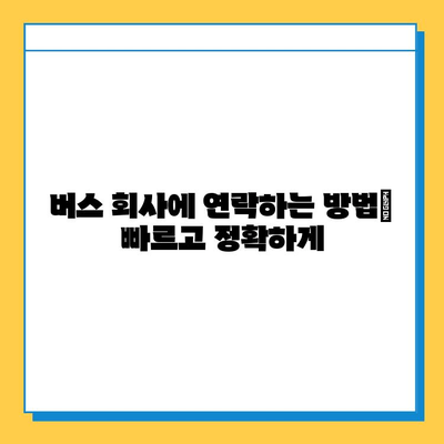 버스에서 분실물 찾는 완벽 가이드| 꼭 알아야 할 5가지 단계 | 분실물, 버스, 대처법, 찾는 방법