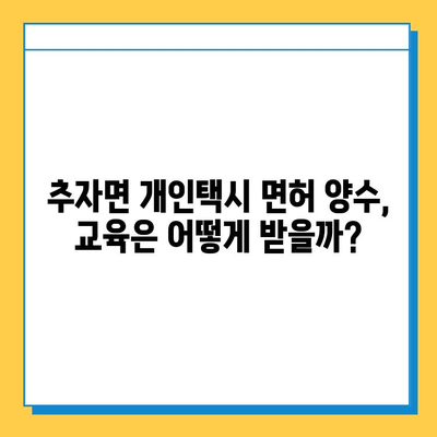 제주도 추자면 개인택시 면허 매매 가격 & 시세 | 오늘 기준, 번호판, 넘버값, 자격조건, 월수입, 양수교육