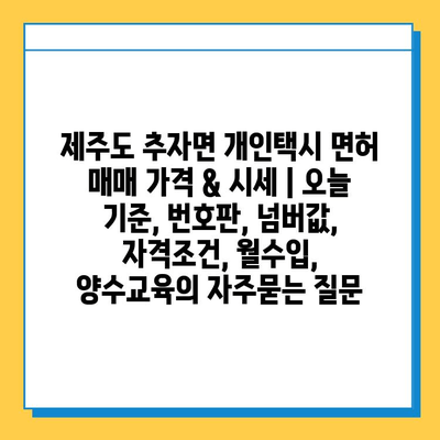 제주도 추자면 개인택시 면허 매매 가격 & 시세 | 오늘 기준, 번호판, 넘버값, 자격조건, 월수입, 양수교육